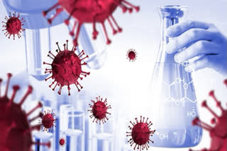 Another 135 new cases of corona virus and eight deaths in Marathwada region