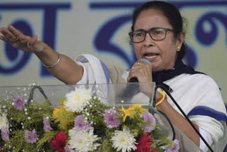 Mamata Banerjee indicates to win in 2024 general election