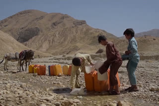 WFP warns of growing starvation in Afghanistan