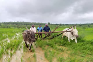 Madhya Pradesh will be a model state in agriculture sector