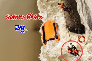 Mishap during Tusker rescue ops in Mahanadi river barrage