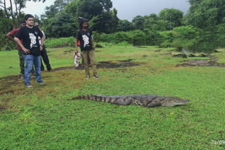 Crocodile found  water park in thane