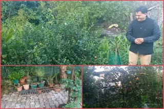 ifs-officer-pradeep-thakur-converted-the-kitchen-garden-into-a-botanical-garden-in-hamirpur