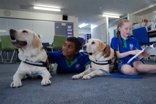 Dogs help children in school and law courts