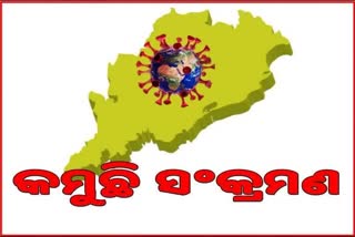 STATE CORONA: ଦିନକରେ ୫୮୫ ପଜିଟିଭ ଟିହ୍ନଟ, ୯୬ ଶିଶୁ ଆକ୍ରାନ୍ତ