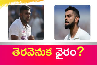 virat kohli ashwin fight