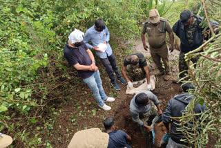 இறந்த யானையை புதைத்த இருவர் கைது