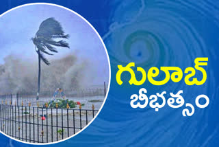 CYCLONE GULAB EFFECT