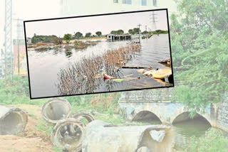 illegal occupation of Pond, illegal constructions in pond lands