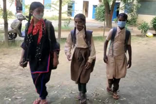 rajasthan school latest news, primary schools opened in rajasthan