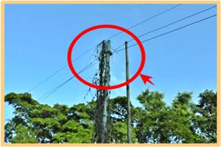 Power supply through bamboo post at baihata