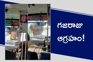 Wild elephant attacks bus