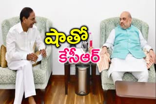 CM KCR met Union Home Minister Amit Shah