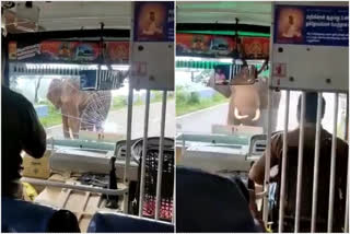 watch-wild-elephant-attacks-bus-at-karnataka-tamil-nadu-border