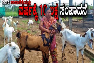 Goat farming : A woman earning 10 lakhs per year