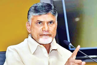 TDP DECISIONS