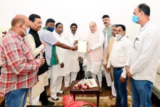 All party delegation met Amit Shah