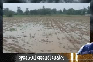 કચ્છમાં મેઘરાજાની તોફાની બેટિંગ