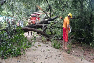 Heavy rains lashes parts of Odisha as Cyclone Gulab made landfall