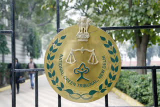 National Green Tribunal‌