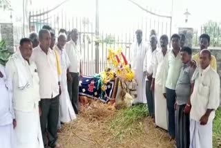 bull waiting to see god in front of sannakkirayaswamy temple