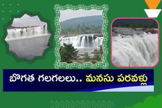 bogatha waterfalls, beauty of bogatha waterfalls in mulugu