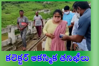 Collector visit on Gulab damage