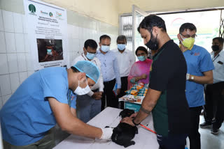 ndmc animal hospital vaccinated 51 dogs in World Rabies Day