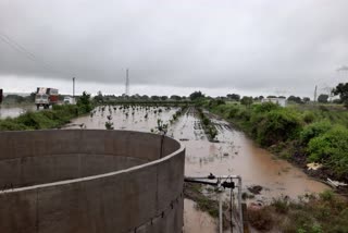 heavy rainfall in jalna