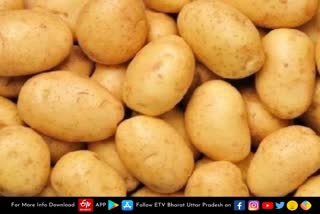 up-horticulture-department-fixed-rates-for-potato-seeds-distribution-and-sale