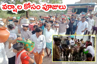 Worship to donkeys for rains at ananthapur distict