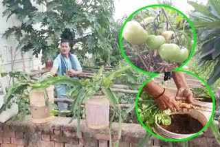 police-constable-who-grows-vegetables-on-his-house-terrace