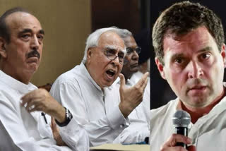 Congress needs to instrospect, said Kapil Sibal