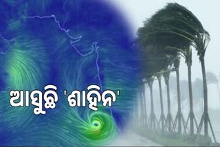 ଆରବ ସାଗରରେ 'ଗୁଲାବ'ର ପୁନର୍ଜନ୍ମ, 'ଶାହିନ' ରୂପରେ ଦେଖାଇବ ଶକ୍ତି