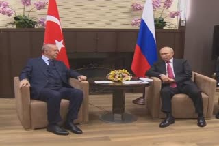 Turkish President Erdogan meets Putin in Sochi