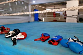 Women National Boxing Championship  महिला राष्ट्रीय मुक्केबाजी चैंपियनशिप  5वीं एलीट  5th Elite  हिसार की खबर  hisar news  मुक्केबाजी  Boxing  खेल समाचार