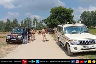 wood mafia given dodge to badaun police by drooping timbers from their tractor trolley