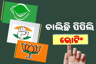 Pipili by election: ଚାଲିଛି ବମ୍ଫର ଭୋଟିଂ