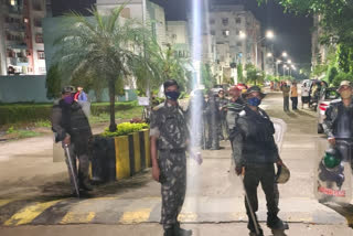 fight in rock garden