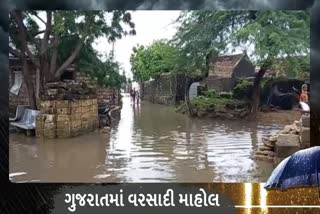 Latest news of Junagadh