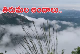 మనసు దోచుకుంటున్న తిరుమల అందాలు