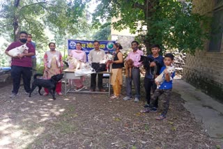 world-rabies-week-being-celebrated-at-rampur-veterinary-hospital