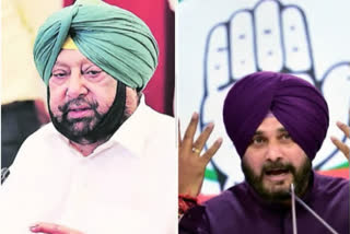 amrinder singh indicates that congress may loose majority in punjab