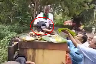 Viral video of crow eating pind daan