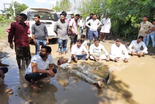 ग्रामीणों का 'जल सत्याग्रह'