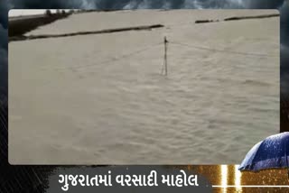 The desert of Kutch became the sea
