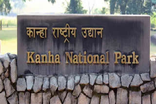 Kanha National Park