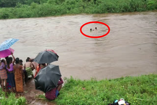 Mother and Son were washed across the brook while crossing