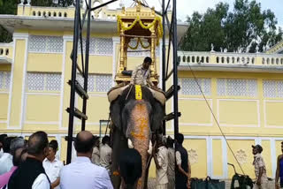 wooden Ambari rehearsal for Abhimanyu at mysore