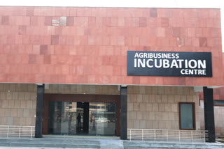 If you have a unique agro business idea then apply, hisar agriculture university abic centre